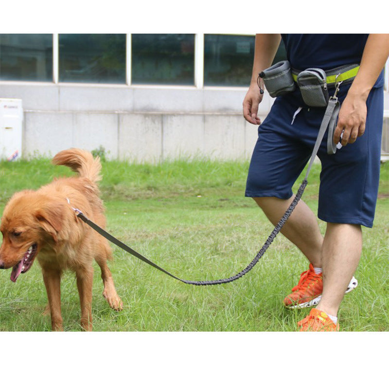 Set de Canicross 4 en 1 pour Chien - Ceinture Lombaire, Laisse Élastique et Sac de Hydratation - Équipement Running & Randonnée - La Tribu Poilue