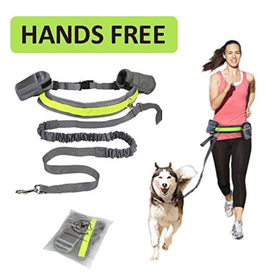 Set de Canicross 4 en 1 pour Chien - Ceinture Lombaire, Laisse Élastique et Sac de Hydratation - Équipement Running & Randonnée - La Tribu Poilue