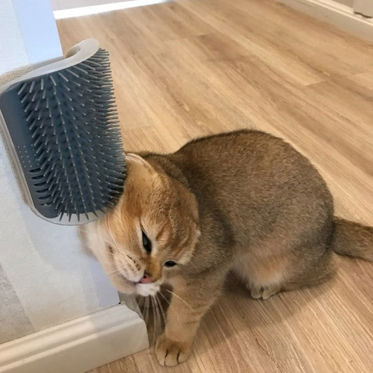 Brosse Murale Autonettoyante pour Chats – Massage & Élimination des Poils - La Tribu Poilue